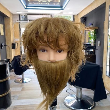 Curso de perfecccionamiento (5)